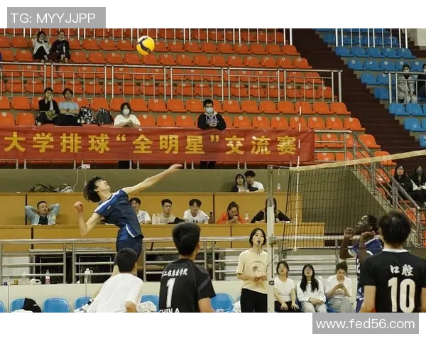 重庆排球队的团队协作之道：凝聚力与默契成就排球辉煌